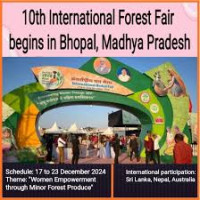 International Forest Fair Lucerne 2027