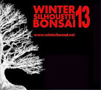 Winter Silhouette Bonsai Show Kannapolis 2026