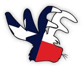 Texas Furry Fiesta Dallas 2027