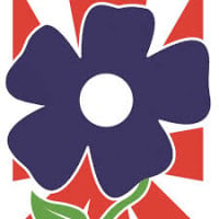 British Dermatological Nursing Group Annual Conference Harrogate 2026