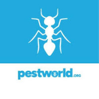 Pestworld Boston 2027